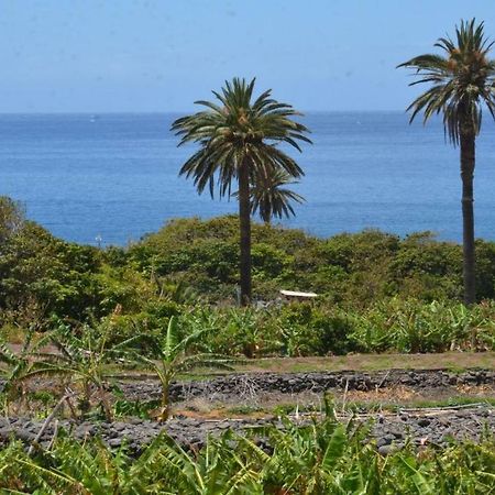 Apt. Heliconia Nº 4 Valle Gran Rey Exteriér fotografie